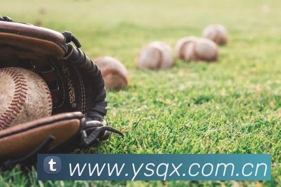 乐动网页版 - 乐动(中国)发展历程